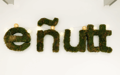 Praktikak Eñutt agentzian