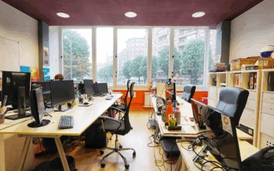 Praktikak Frikitek Marketin Digital Agentzian